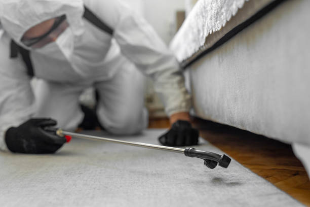Professional Pest Control technician working in Clark County County, IN